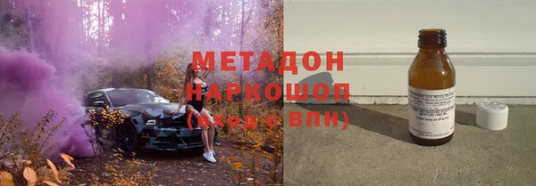прущие грибы Алзамай