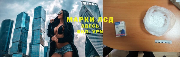 прущие грибы Алзамай